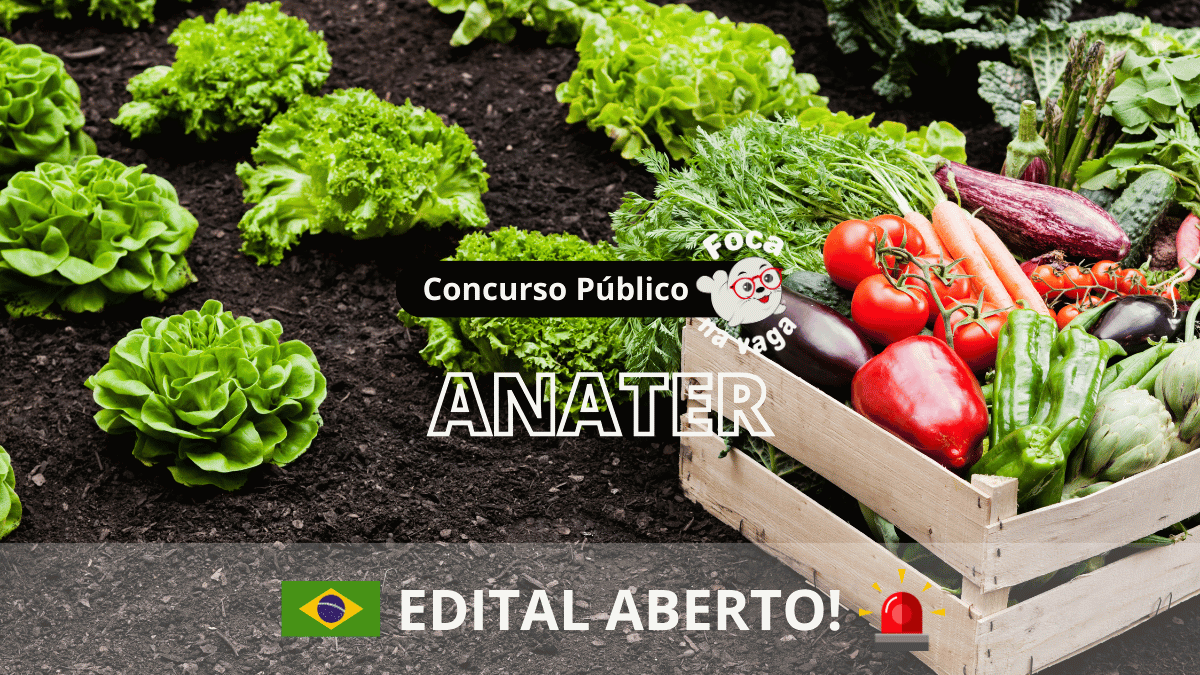 Processo seletivo da ANATER